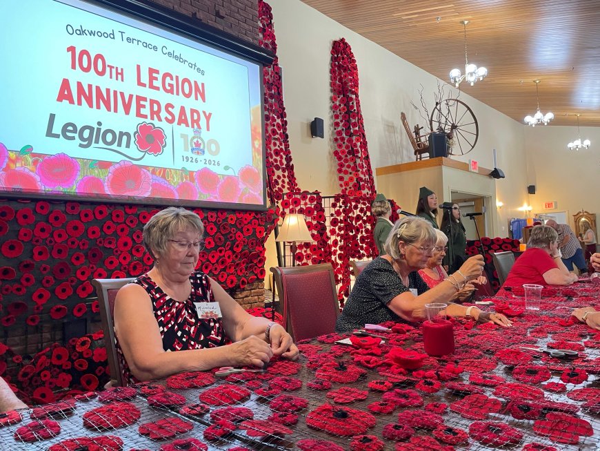 Volunteers work year-round for Dartmouth Remembrance Day poppy tribute