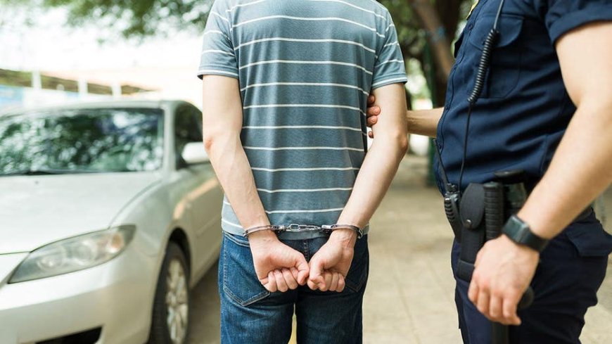 Ditching his 'Whizzinator' in a patrol car was Florida man's second bad decision of day