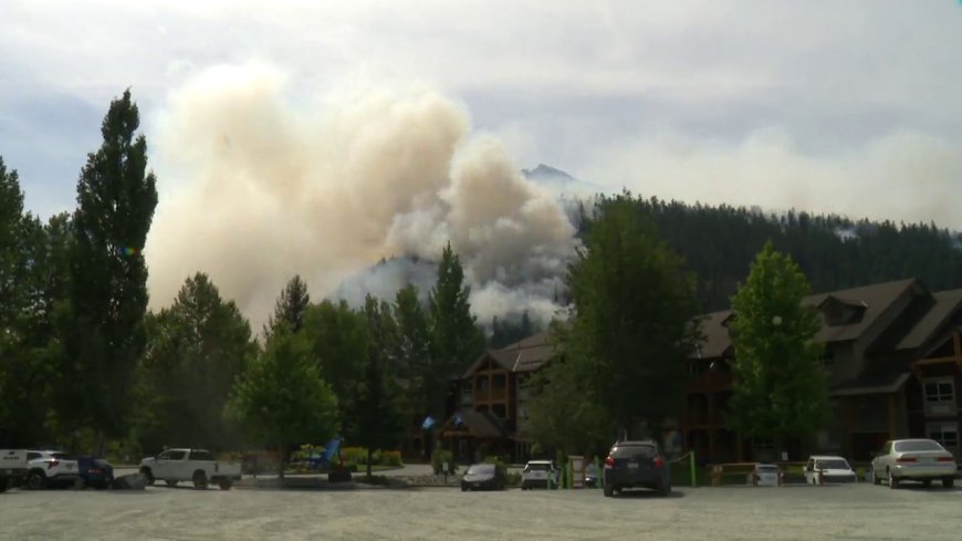 Time-lapse video shows growth of wildfire near Pemberton