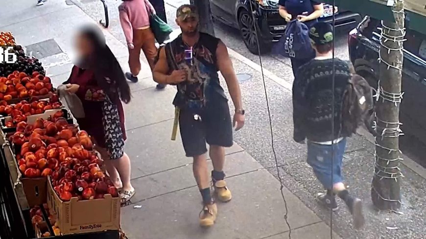 More details emerge about Vancouver stranger assault suspect