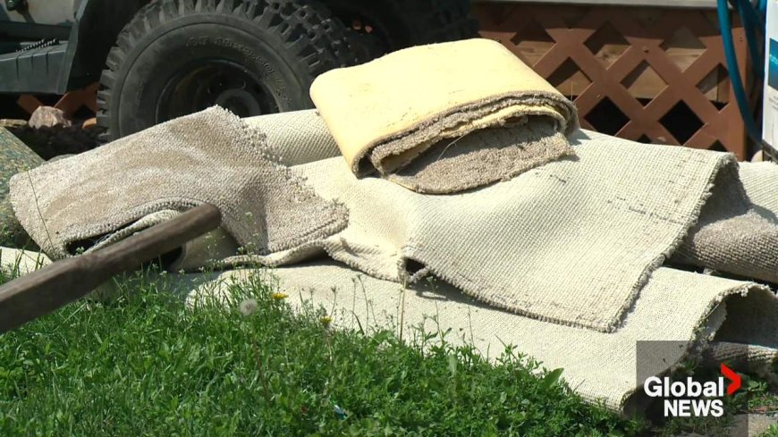 IBC estimates $230M in insured damage claimed from Edmonton storms