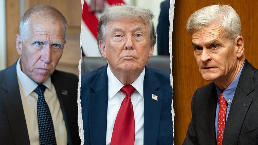GOP civil war erupts over Trump's latest agenda push as key Republicans threaten to sink megabill