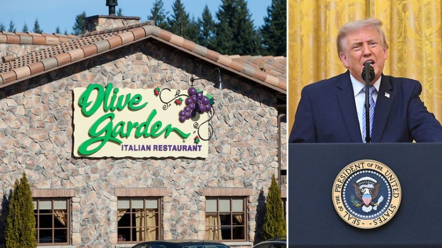 Olive Garden becomes unlikely face of voter ID fight after restaurant's policy goes viral