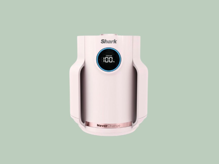 The Curator: Best air purifiers to improve air quality in your home