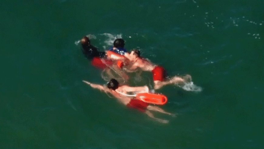 WATCH: Felony suspect's ocean getaway unravels after 90-minute standoff with lifeguards