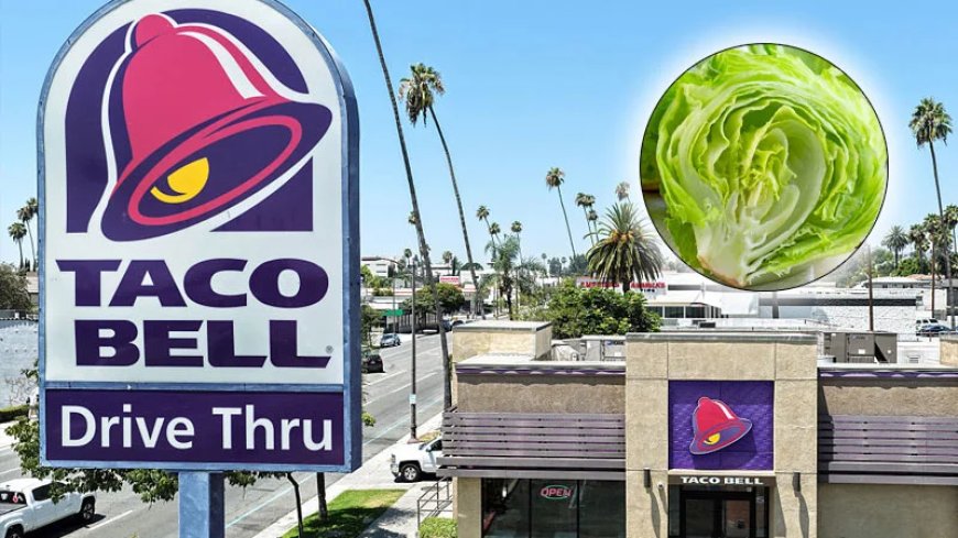 Taco Bell Lettuce Linked To Explosive Diarrhea Outbreak