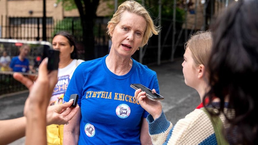 Democratic socialist actress Cynthia Nixon handed powerful role in helping choose New York top judges