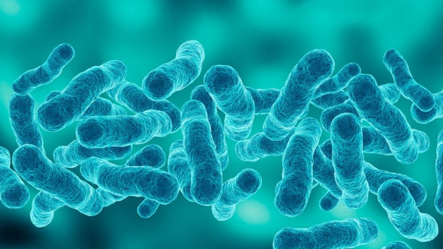 First death reported in Upper East Side Legionnaires' disease outbreak as cases rise to 67