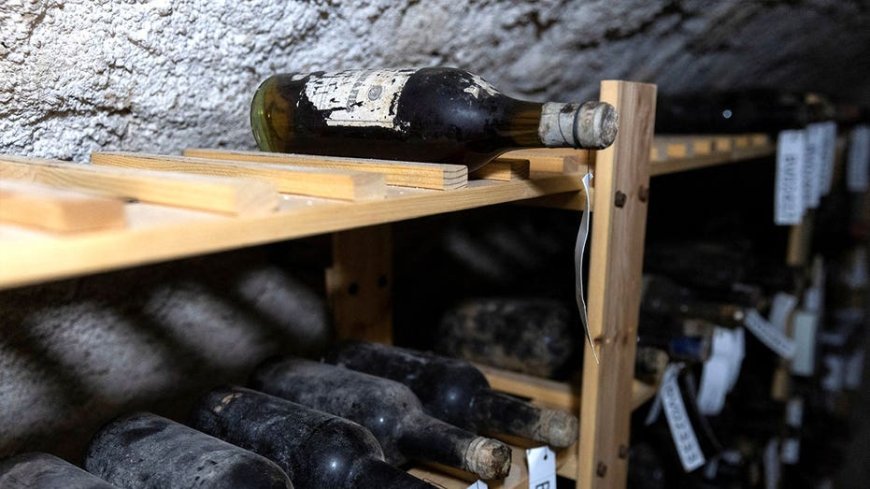 Secret cache of 130-year-old wine uncovered beneath medieval castle chapel floor