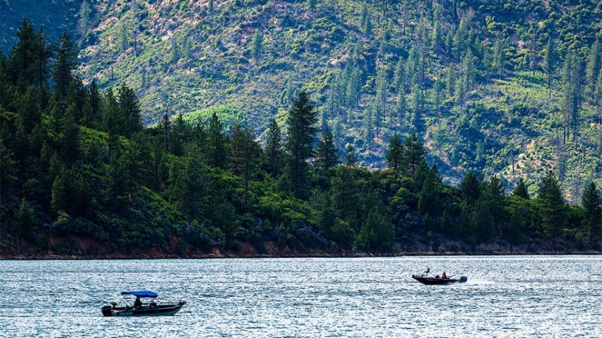 US forest service workers kidnapped, ziptied for hours by father-son duo: California AG