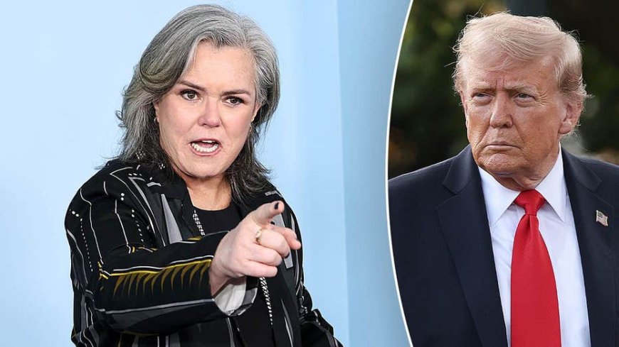 Rosie O'Donnell claims Trump has 'PTSD response' to her as backlash erupts