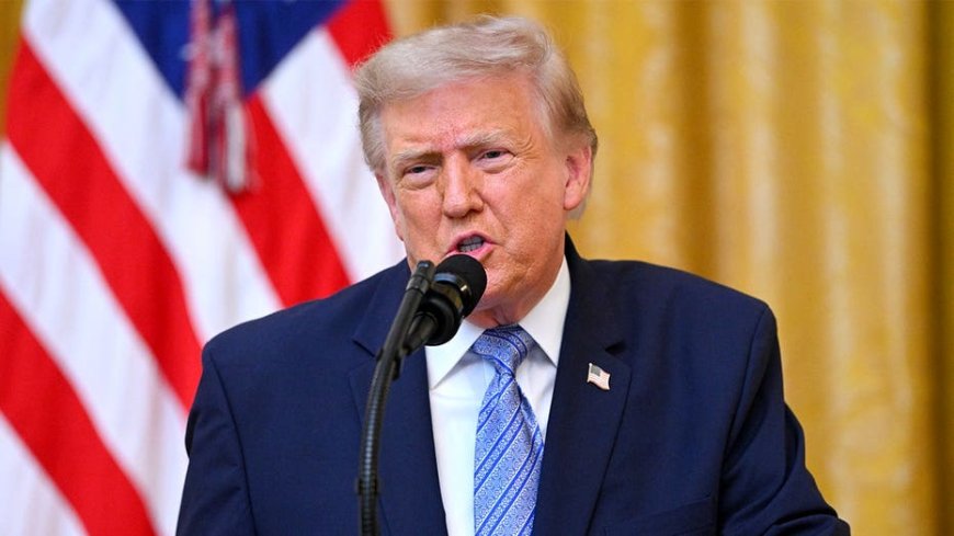 READ THE DOCUMENTS: White House releases election integrity files after Trump speech
