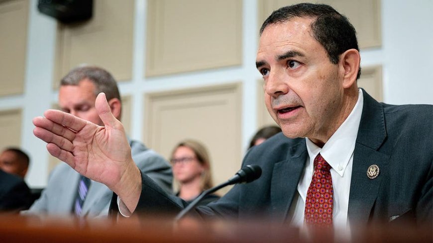 Dem Rep Henry Cuellar rejects DSA agenda, says socialists are trying to 'use' Democratic Party