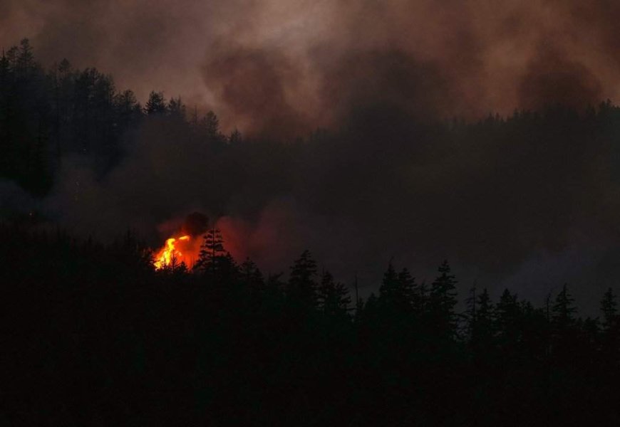 B.C. wildfire tally surges past 100 as lightning transforms fire season in a flash