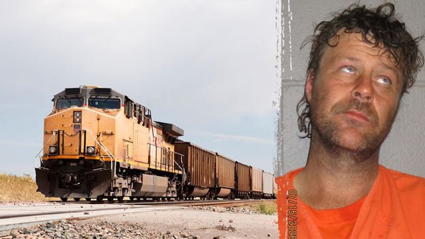 Man who allegedly rode naked atop moving locomotive busted after bizarre train stunt: sheriff