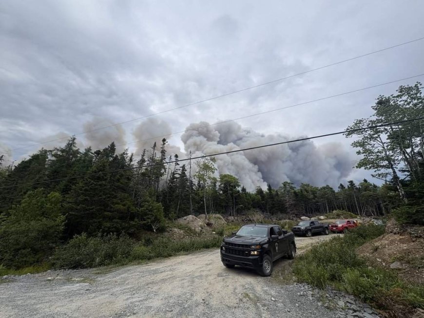 Wildfire northeast of Halifax being held, N.S. officials say