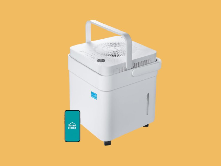 The Curator: Your guide to mold & mildew prevention & protection