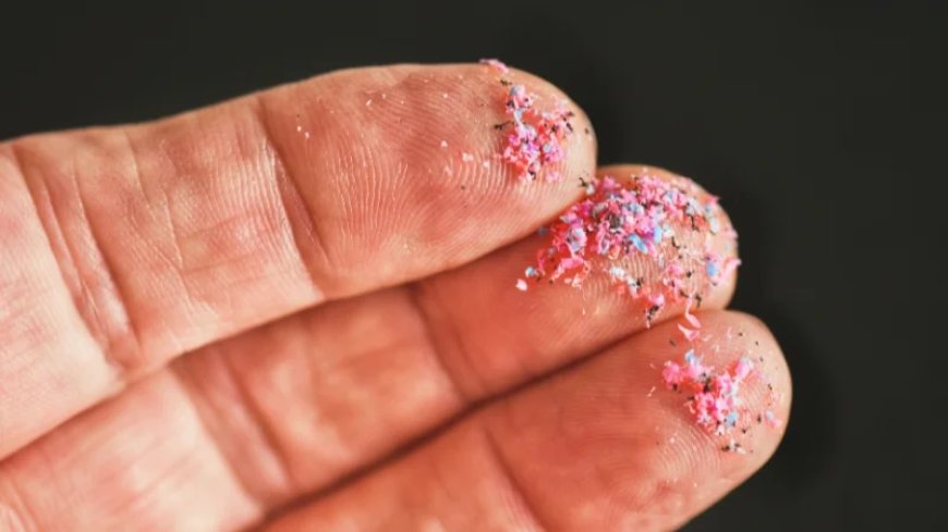 The Microplastic Menace: Everything You Need To Know about These Tiny Pieces of Plastic—and How To Protect Yourself from Them
