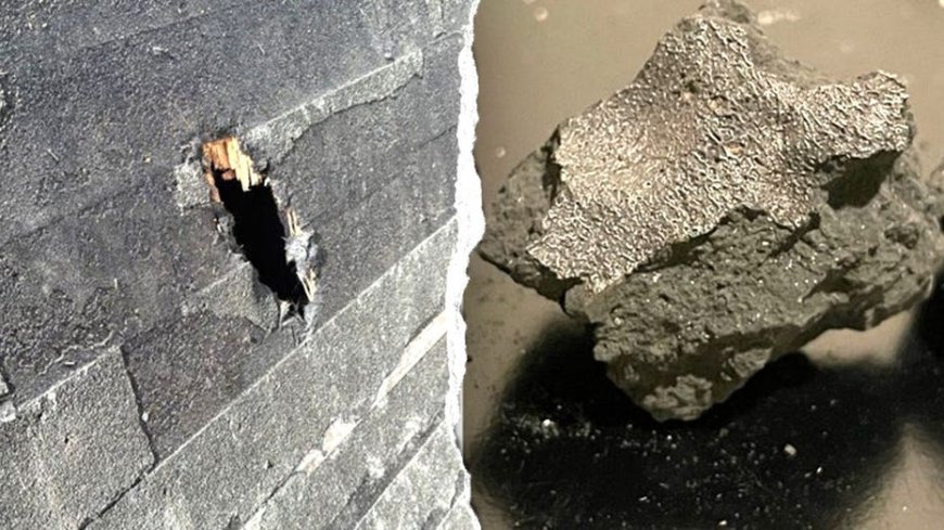 Meteorite that crashed into NJ home holds building blocks of life, scientists say