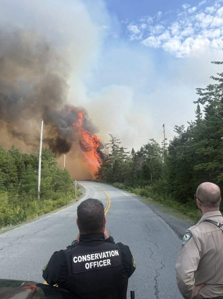 Mooseland Road fire northeast of Halifax continues to be held