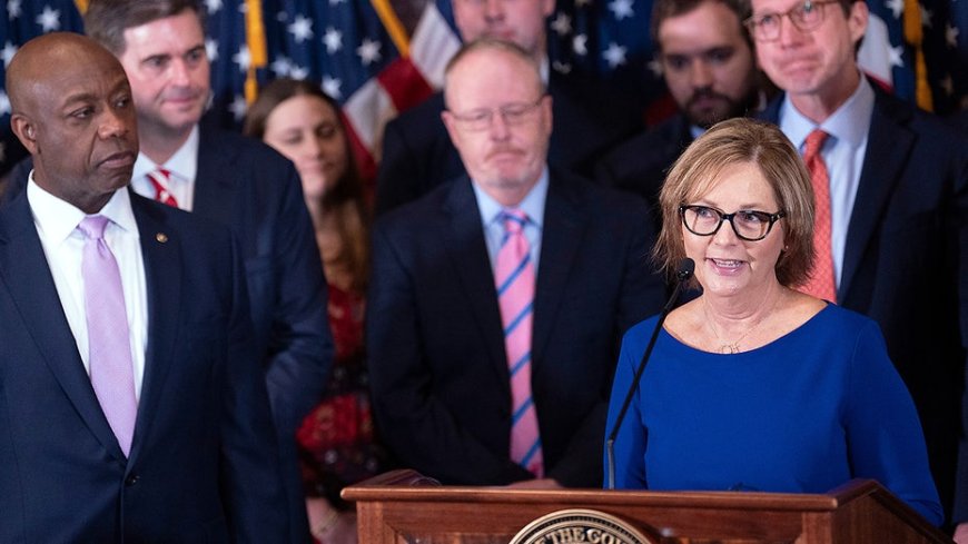 Lindsey Graham succession fight upended as Trump's chosen successor jumps in