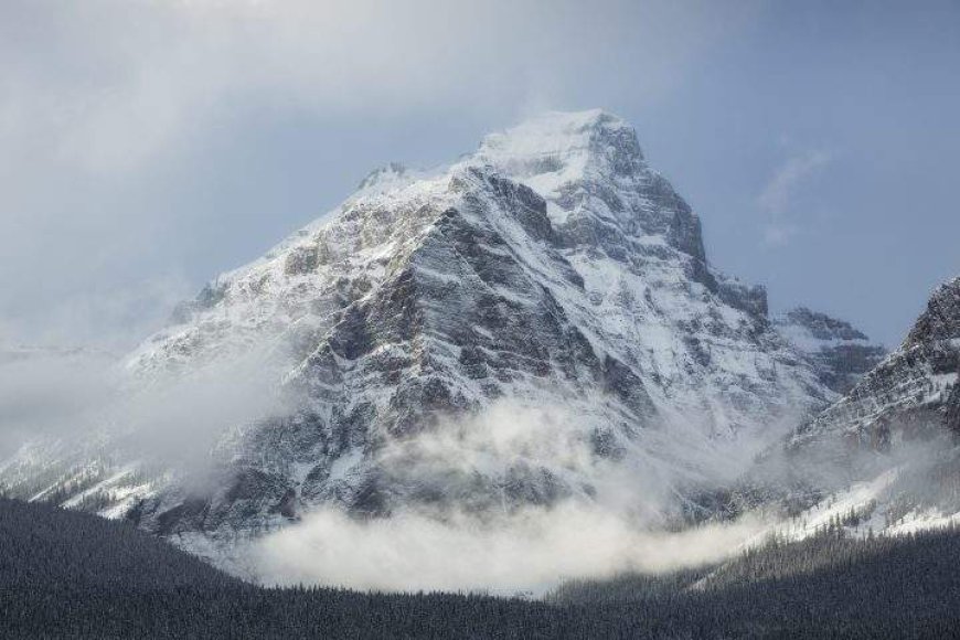 Inquiry hears avalanche danger moderate on day of 2021 fatal Banff snow slide