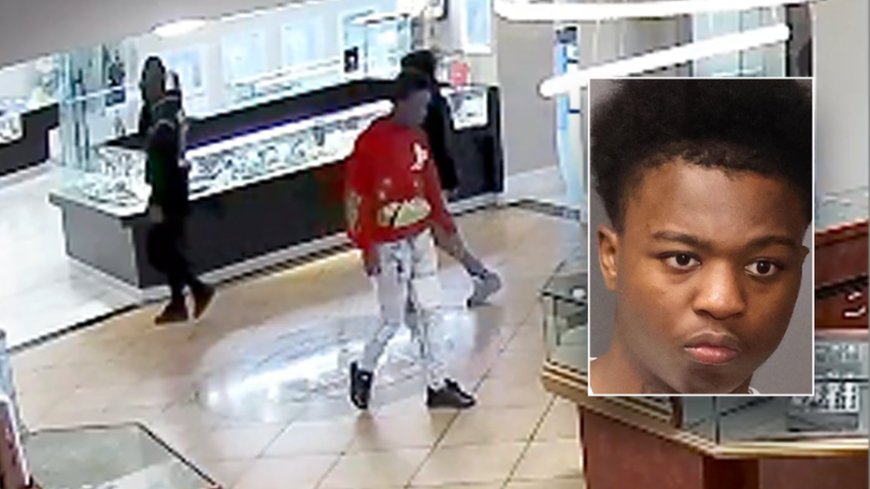 Repeat offender busted again less than 24 hours after release in brazen jewelry store theft case: police