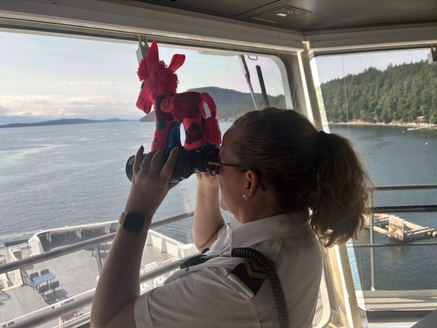 Churro the Burro’s adventure on BC Ferries delights thousands