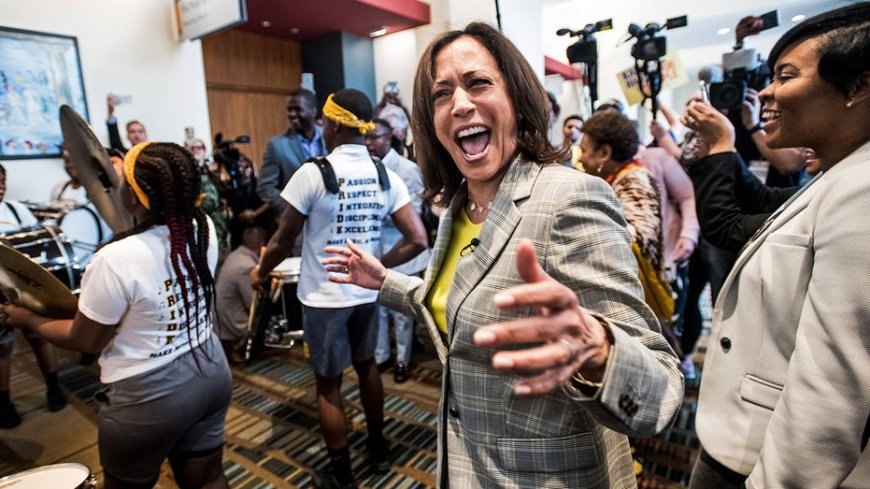 Kamala Harris is the 'fairly obvious' 2028 presidential frontrunner, Democratic insiders say