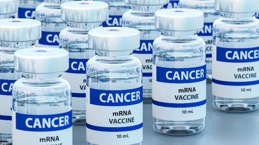 Moderna Launches mRNA Cancer Vaccine Trial As Experts Warn Of Risks