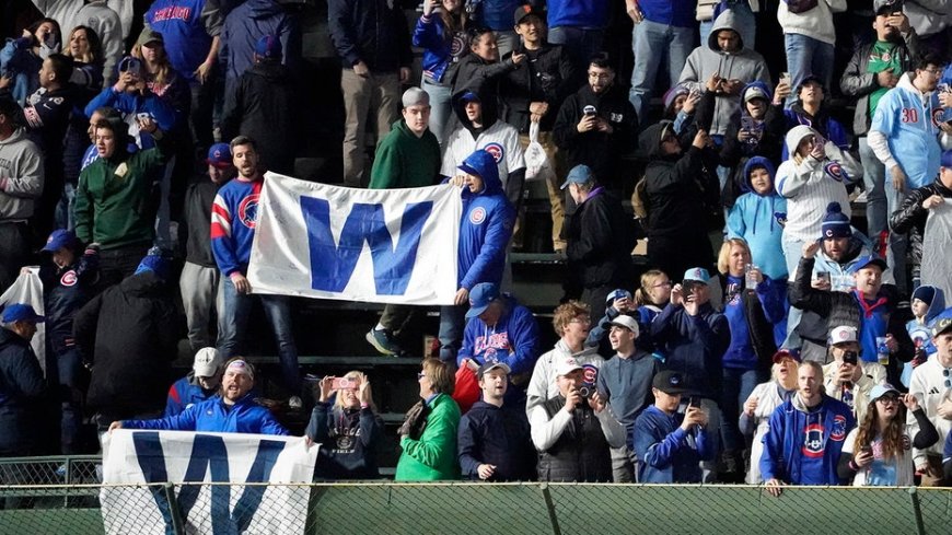Chicago Cubs fan slaps younger fan for not standing during National Anthem in viral video
