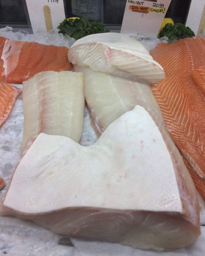 Federal officials seize tonnes of N.S. halibut, charge captain with illegal fishing