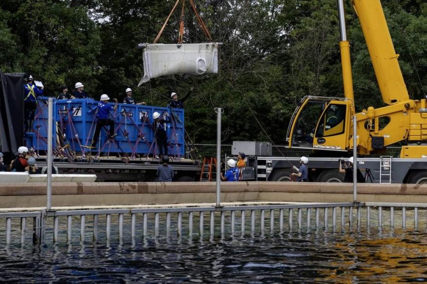 Six Marineland belugas now swimming in new U.S. homes