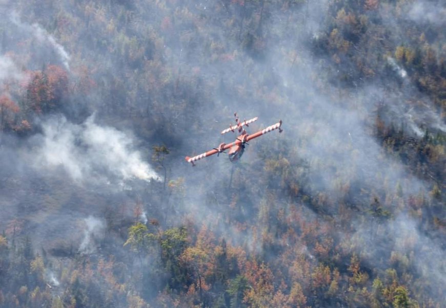 Wildfire preparation tips as fires burn in Maritime provinces