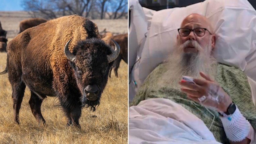 Bison victim speaks out after wild attack: ‘They move faster than you could ever imagine’