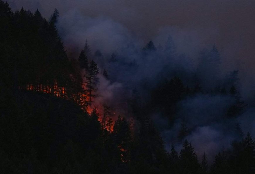 B.C. to provide live update on wildfires as more than 50,000 hectares burned