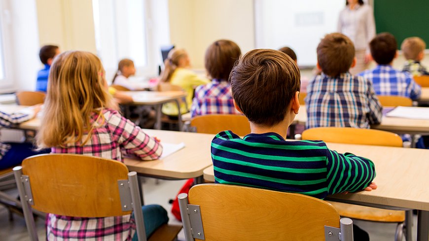 Connecticut school board vice chair compares America's founding to Holocaust in viral July 4 post
