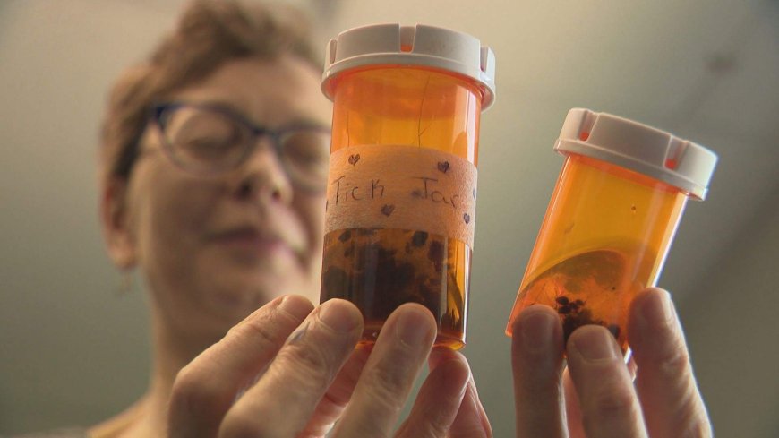 Lyme disease cases uptick in Manitoba