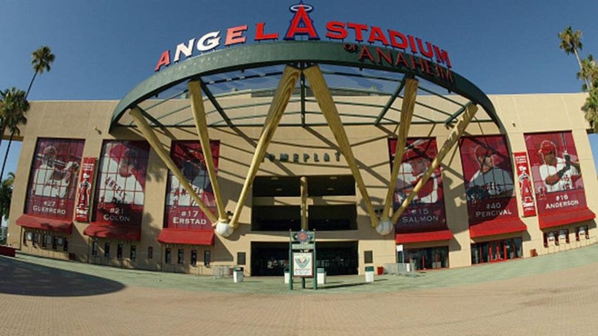 Los Angeles Angels fired advance scout nicknamed 'Baseball Spy' after he was caught filming Rockies