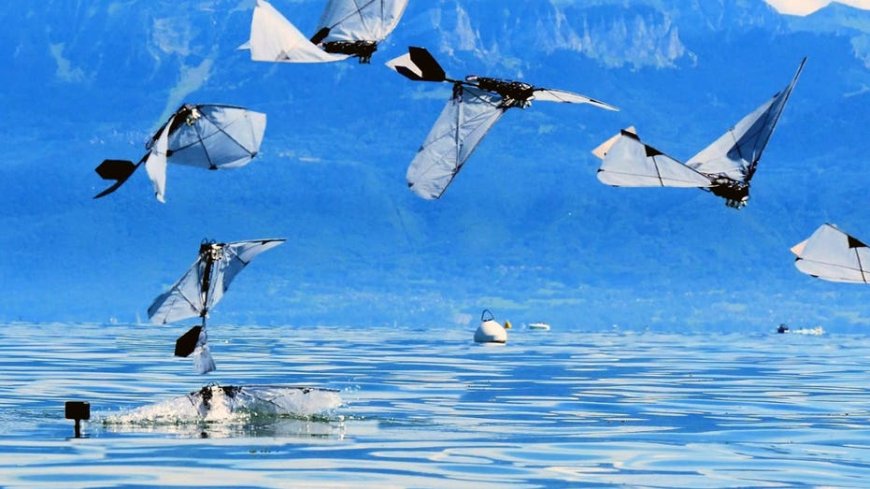 Robot bird swims underwater then flies away