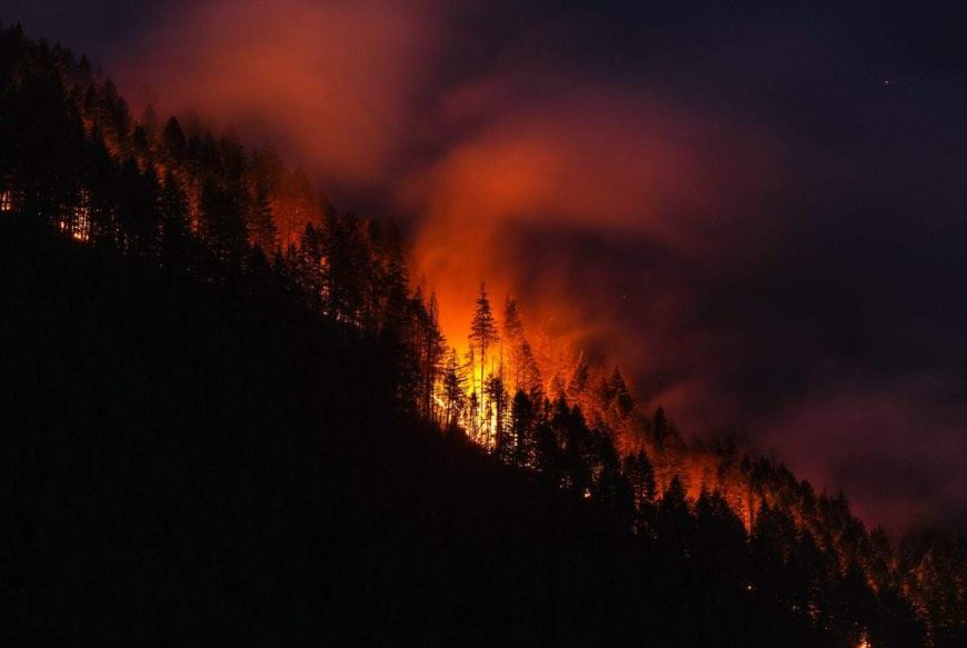 B.C.’s Brunswick Creek wildfire triggers more evacuations