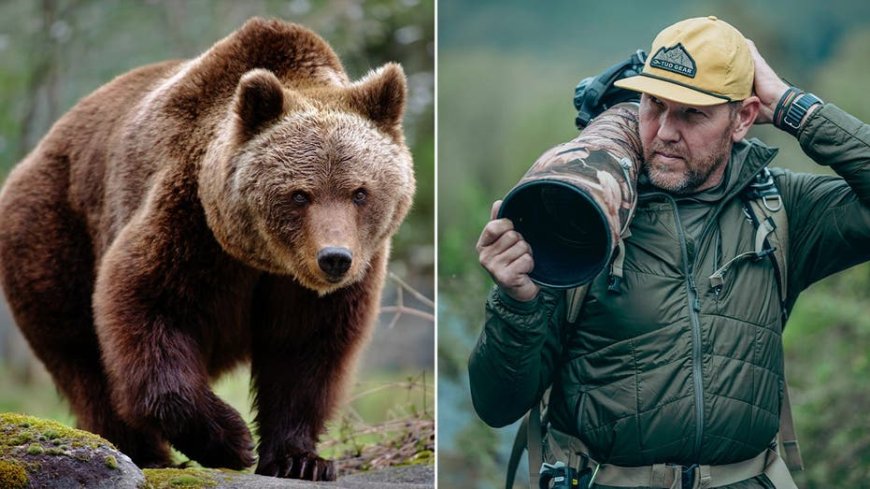 Wildlife photographer stays ice-cold as massive brown bear walks right up to his camera