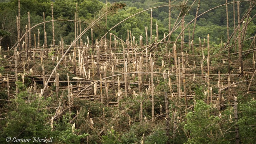 Possible tornado causes ‘significant’ damage in Quebec’s Laurentians