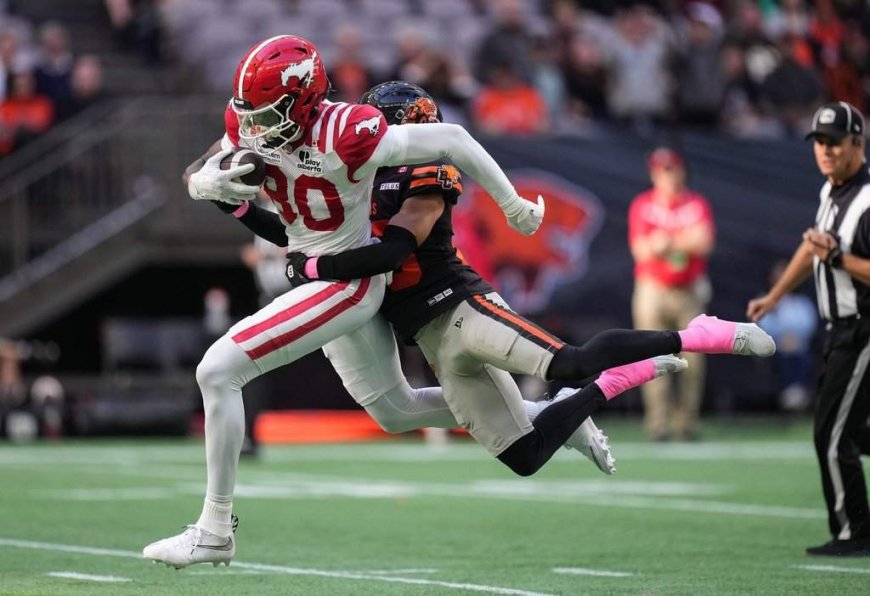 Stampeders sign WR Alford, DB Boykin