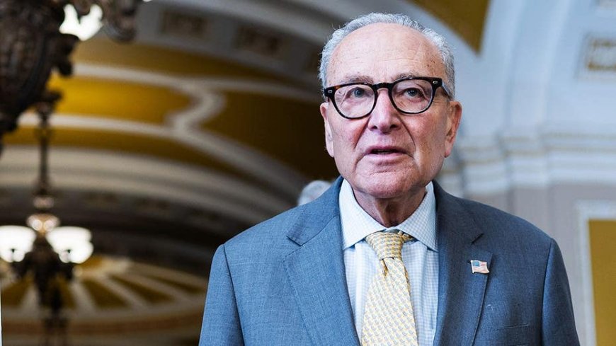GOP blocks Schumer's effort to ground taxpayer funding for Trump's Qatari Air Force One