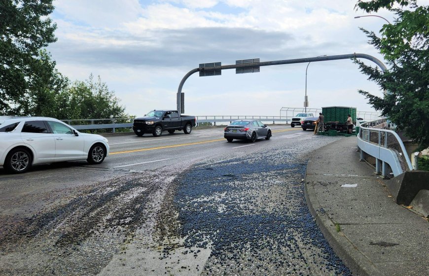 Blueberries spill onto Mission roadway — for the second time in a month