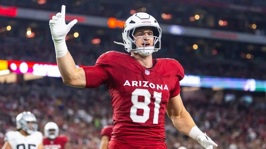 Cardinals tight end Travis Vokolek retires at age 28 after suffering severe neck injury during 2025 season