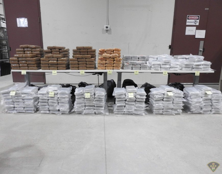 Nearly 1.7 tonnes of drugs worth $139M seized in Ontario investigation