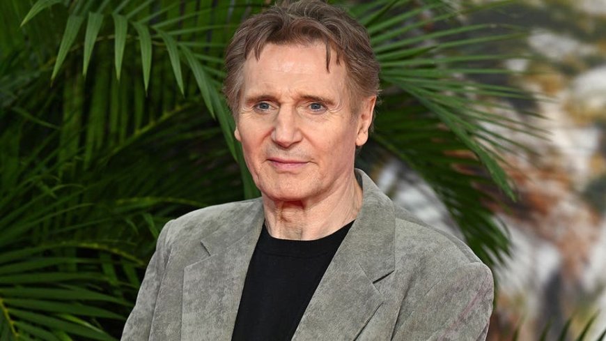 New CIA thriller 'The Fix' blends heist, espionage genres with Liam Neeson, Zachary Levi
