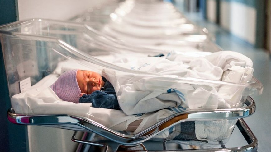 Men switched at birth uncover hospital mix-up after DNA test decades later